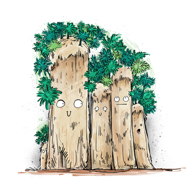 Desert oasis with water and trees representing personalized tracking