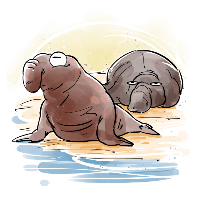 Northern elephant seal representing tracking and following representatives